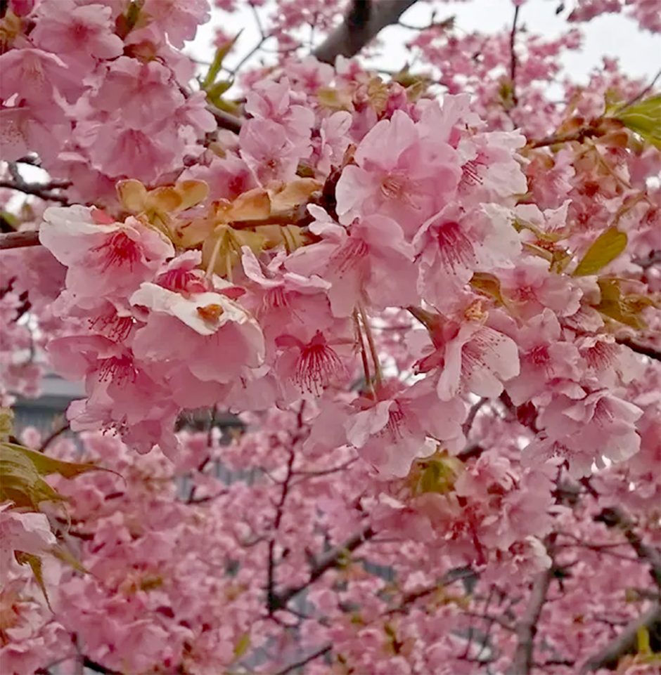 春先に多い子どもの病気自律神経の乱れ